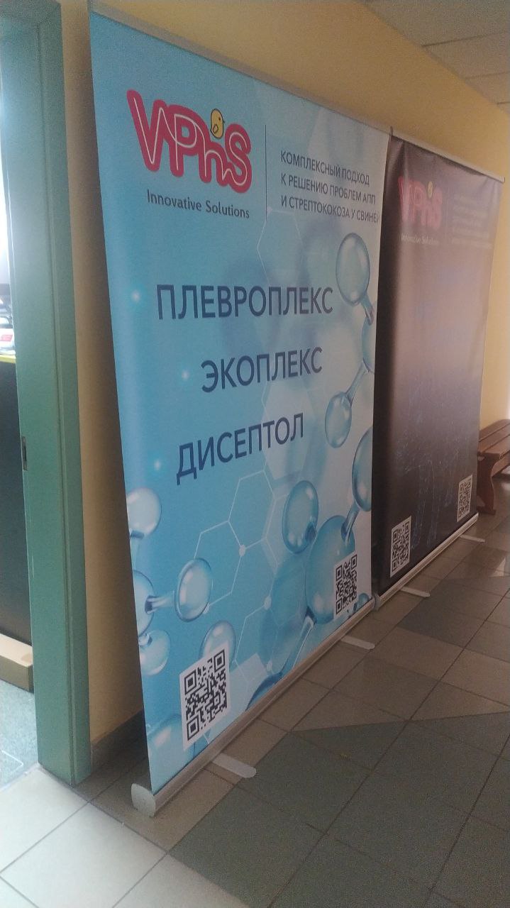 Изготовление и печать roll up стендов в Бресте