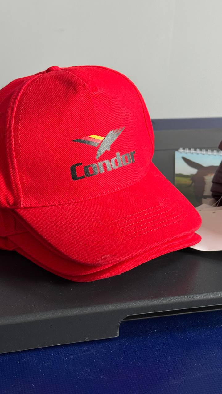 Печать на бейсболках логотипов и мерчей в Бресте